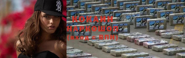 прущие грибы Волоколамск