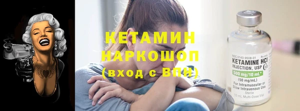 прущие грибы Волоколамск