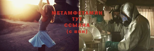 прущие грибы Волоколамск