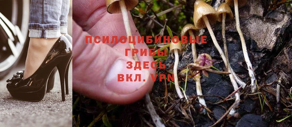 мет Вяземский