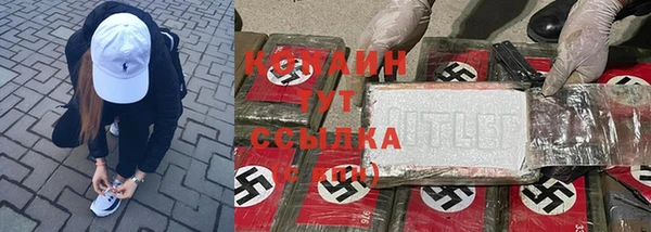 прущие грибы Волоколамск