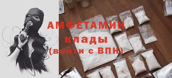 прущие грибы Волоколамск