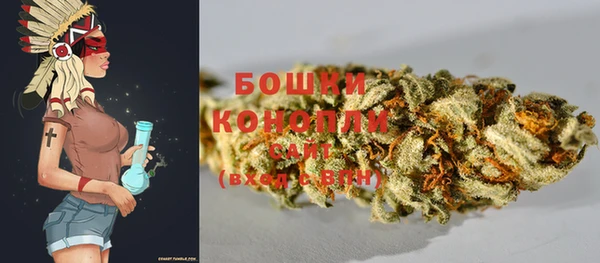 прущие грибы Волоколамск