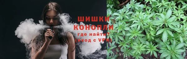 прущие грибы Волоколамск